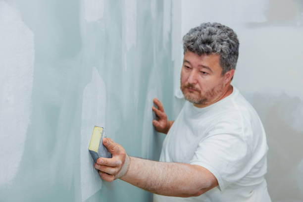  Lykens, PA Mold Removal Pros